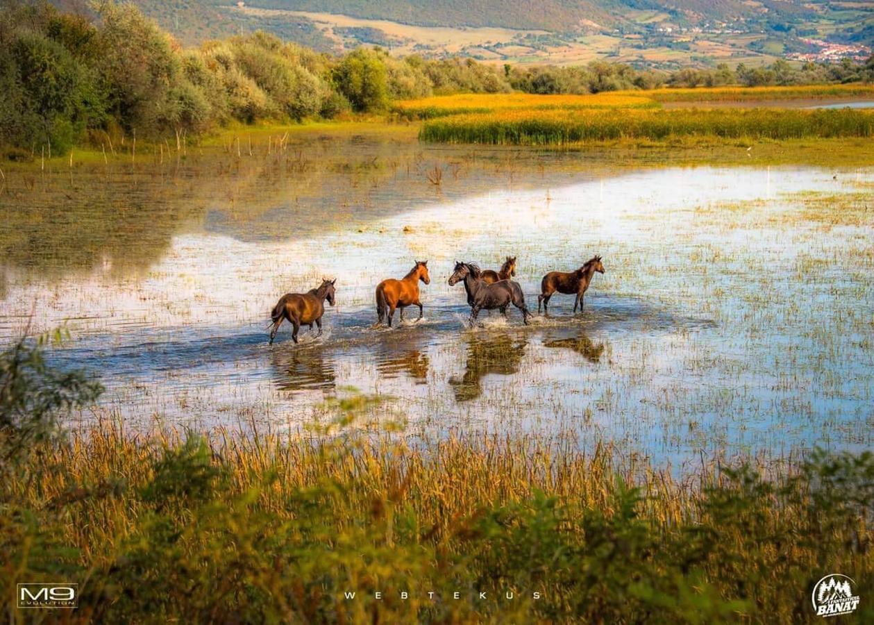 Clisura Dunarii - Casa Giovanni Moldova Veche Esterno foto